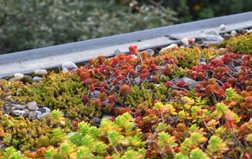 the cost of Mancot Royal green roof installation